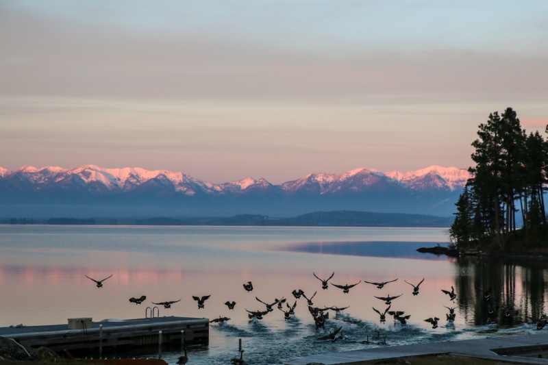 Flathead Lake Loop