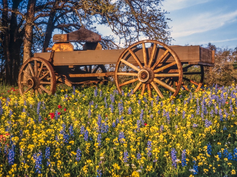 Texas Hill Country