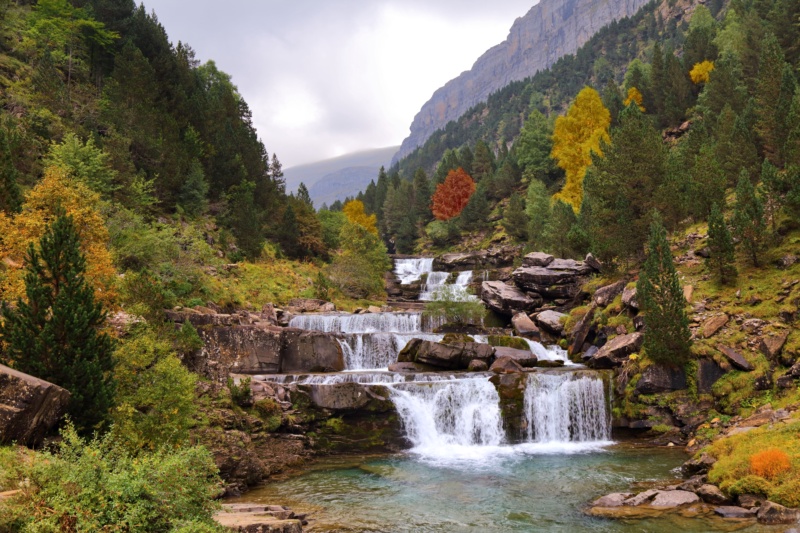 The Pyrenean Axis