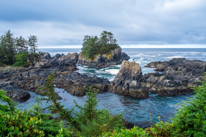 Pacific Rim Highway