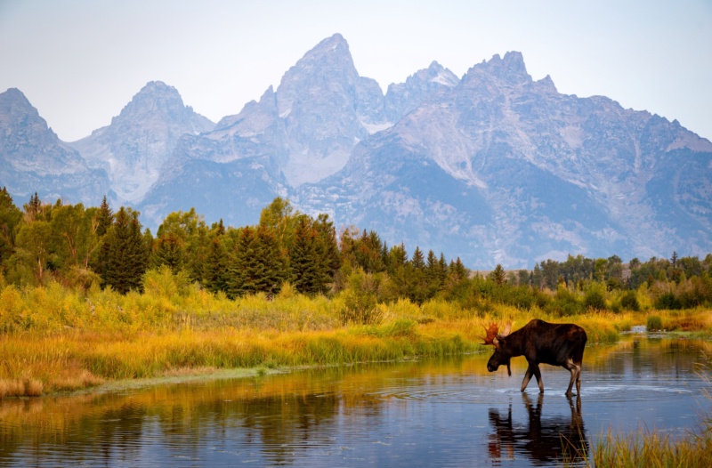 Grand Teton Loop
