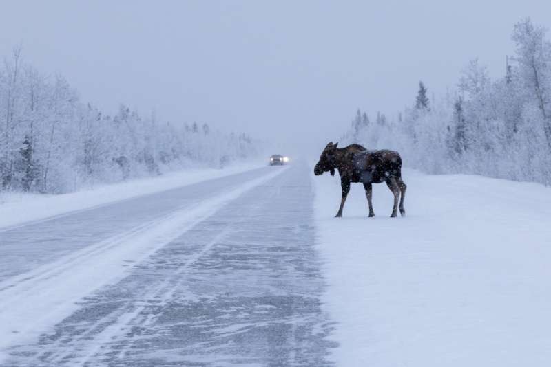 Richardson Highway