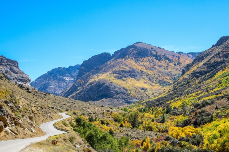Ruby Mountains Alpine Drive