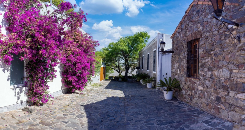 The Uruguay Riviera