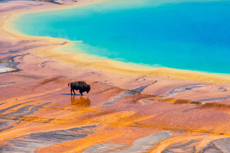 Yellowstone’s Grand Loop