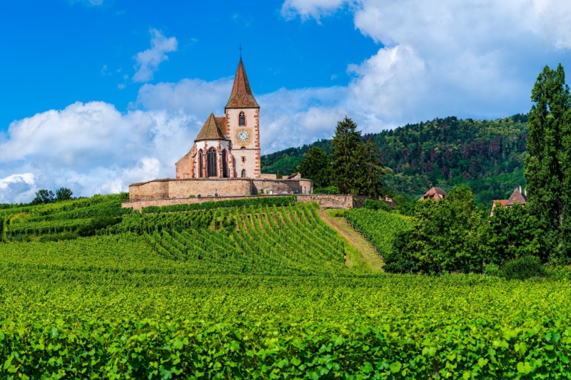 The Alsace Wine Route