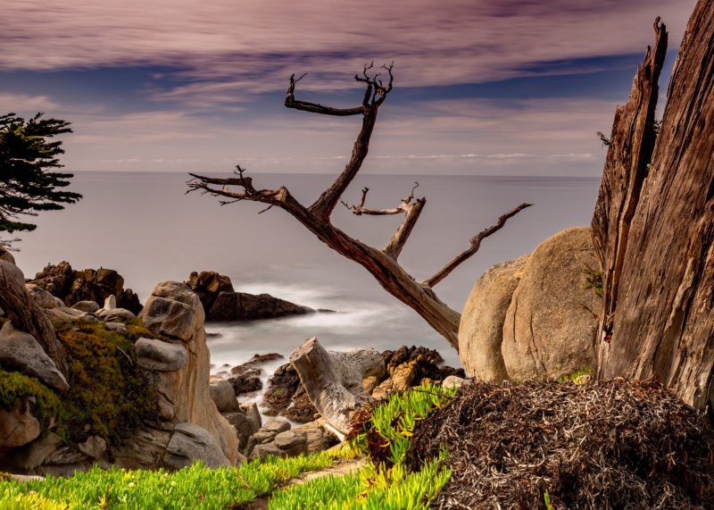 17-Mile Drive