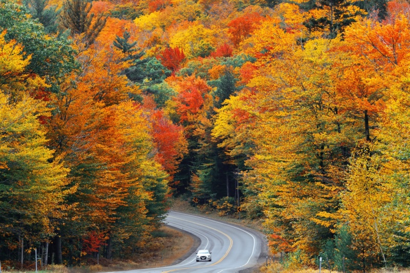 White Mountain Trail