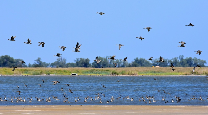 Wetlands and Wildlife Scenic Byway