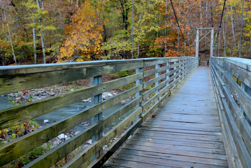 Pig Trail Scenic Byway