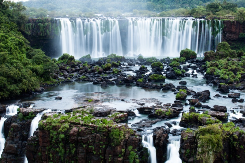 The Jungle Highway to Iguazu Falls