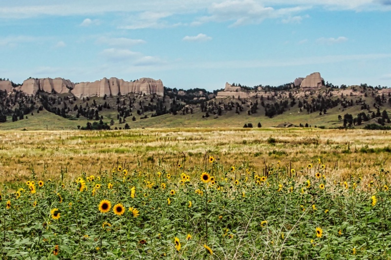Pine Ridge Trail