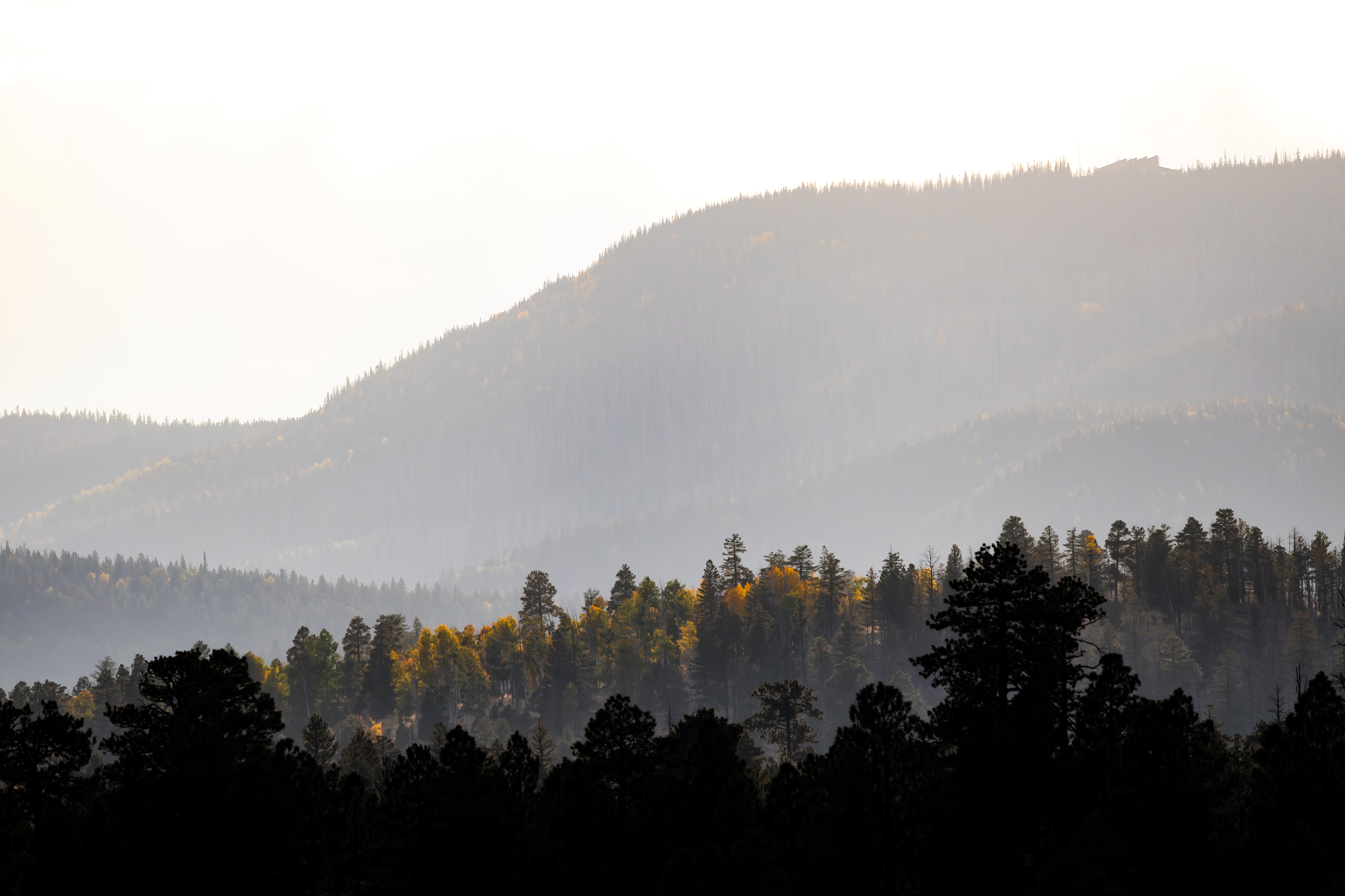 Coronado Trail Scenic Byway