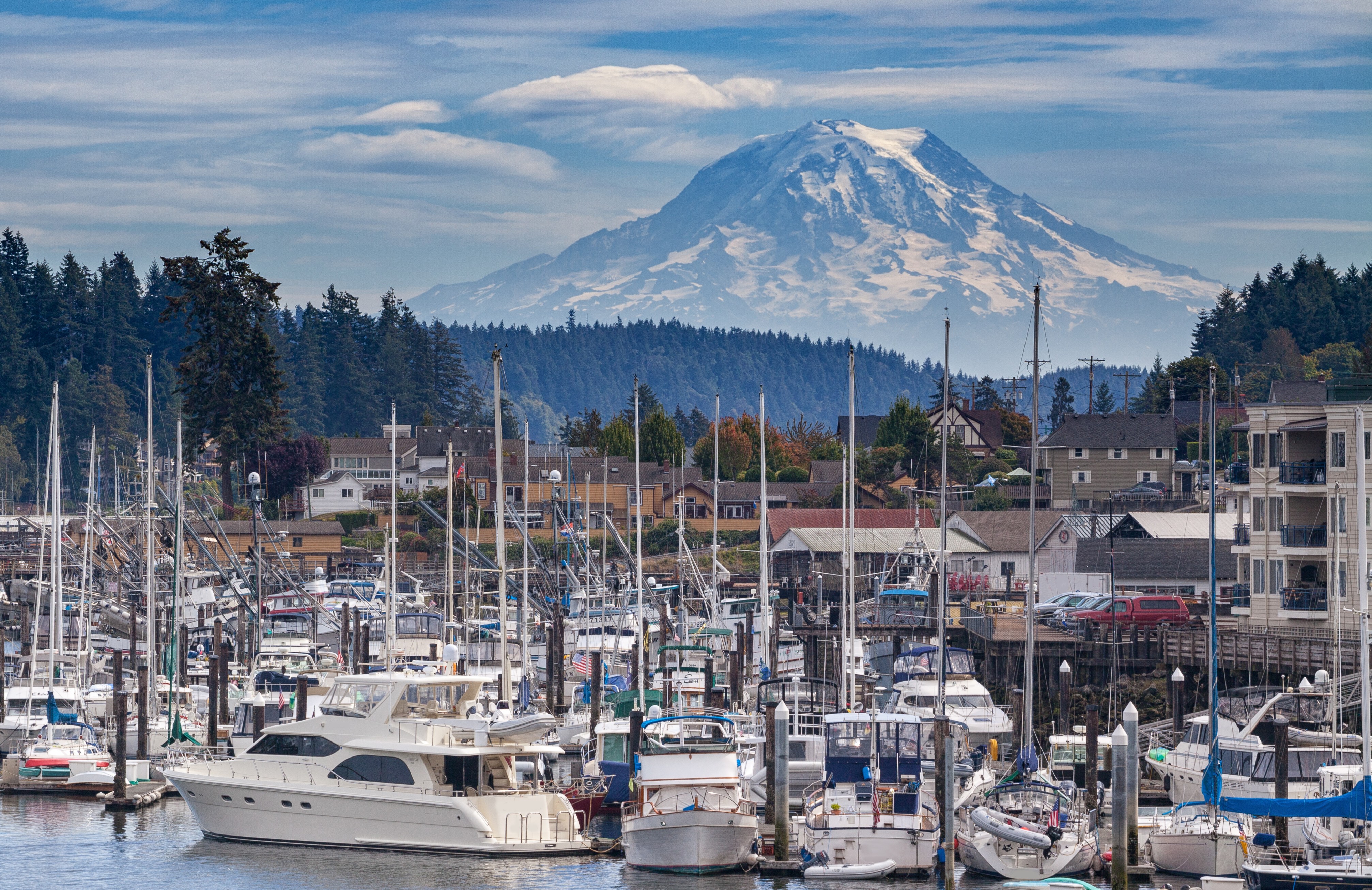 Mount Rainier Drive