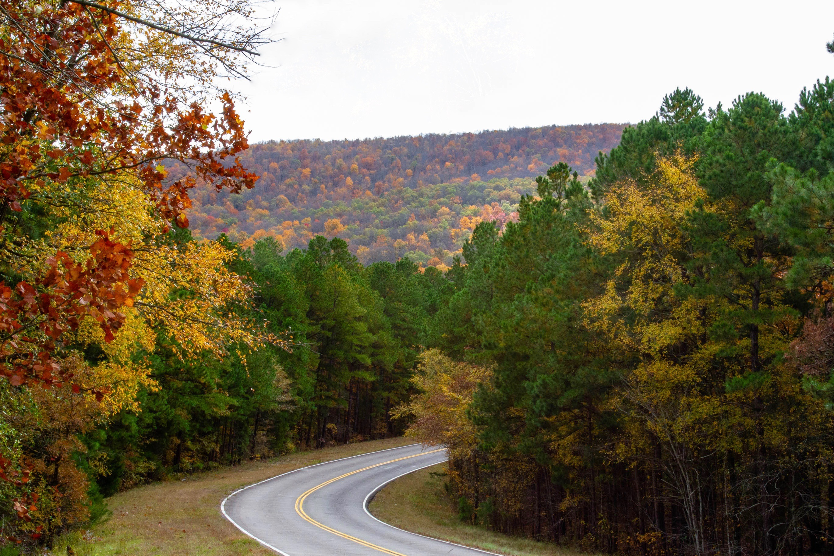 Talimena Scenic Drive