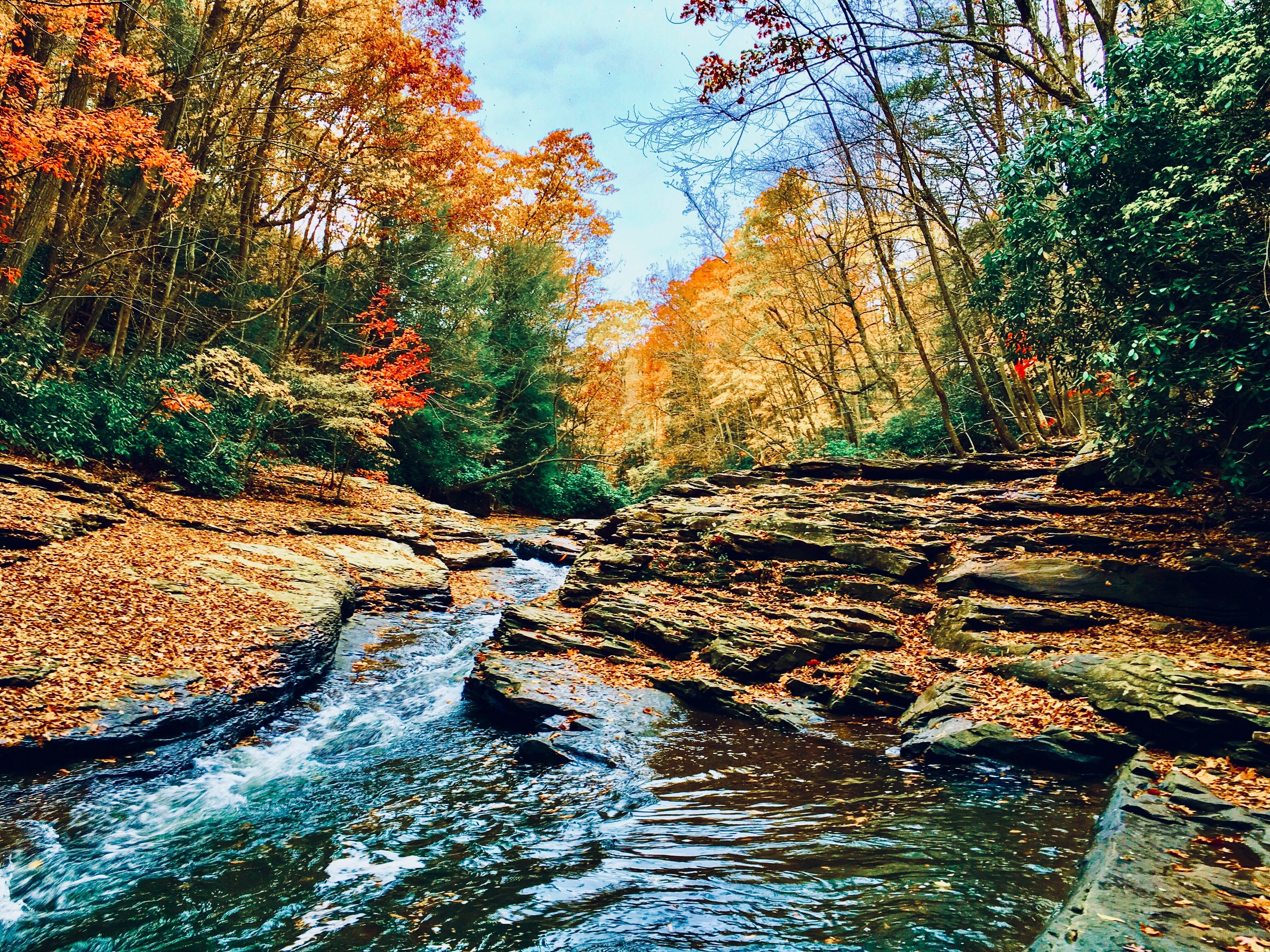 Laurel Highlands Scenic Byway