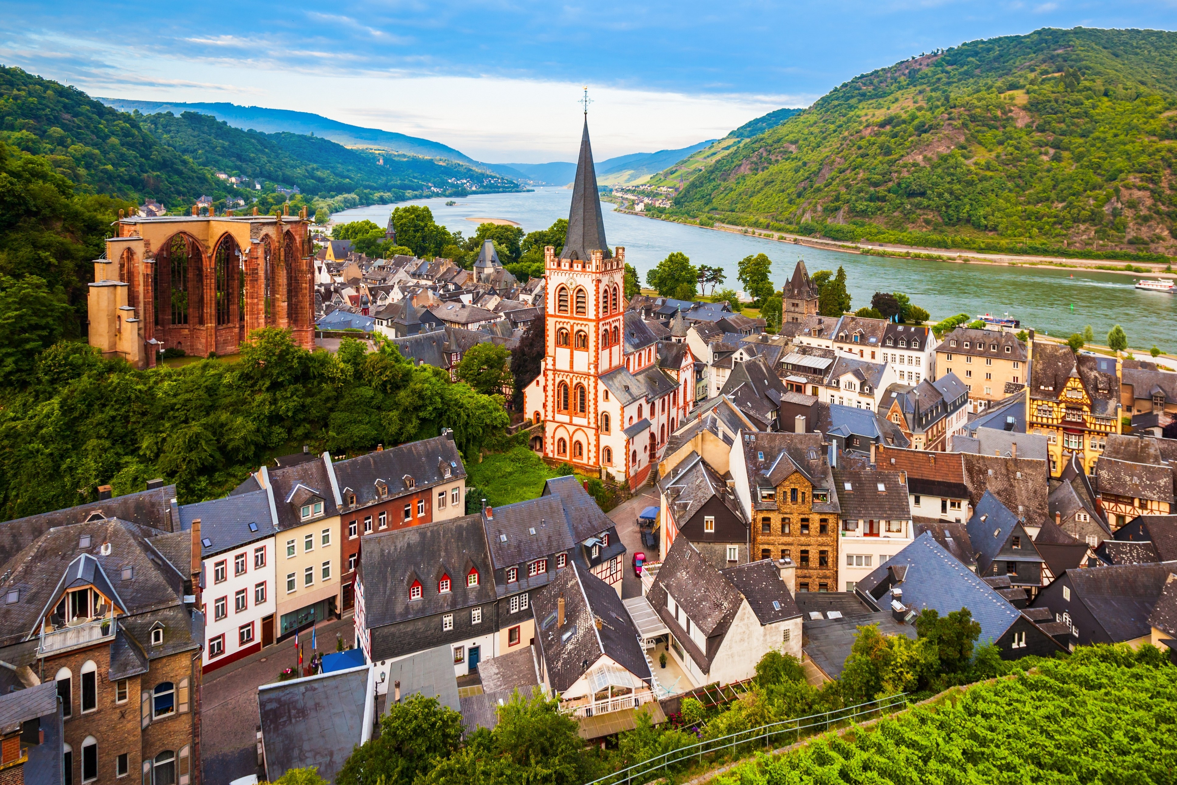 The Rhine Valley