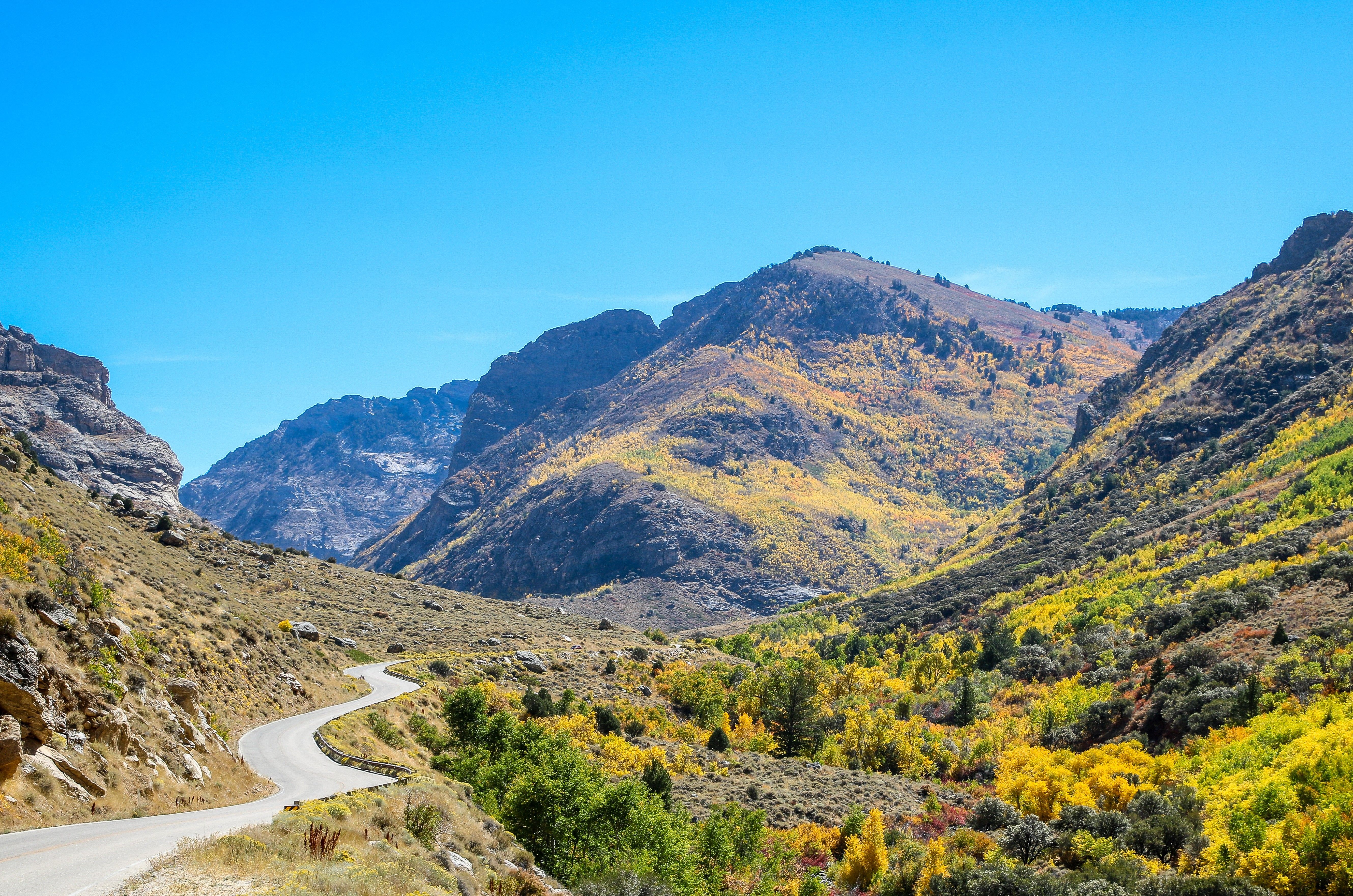 Ruby Mountains Alpine Drive