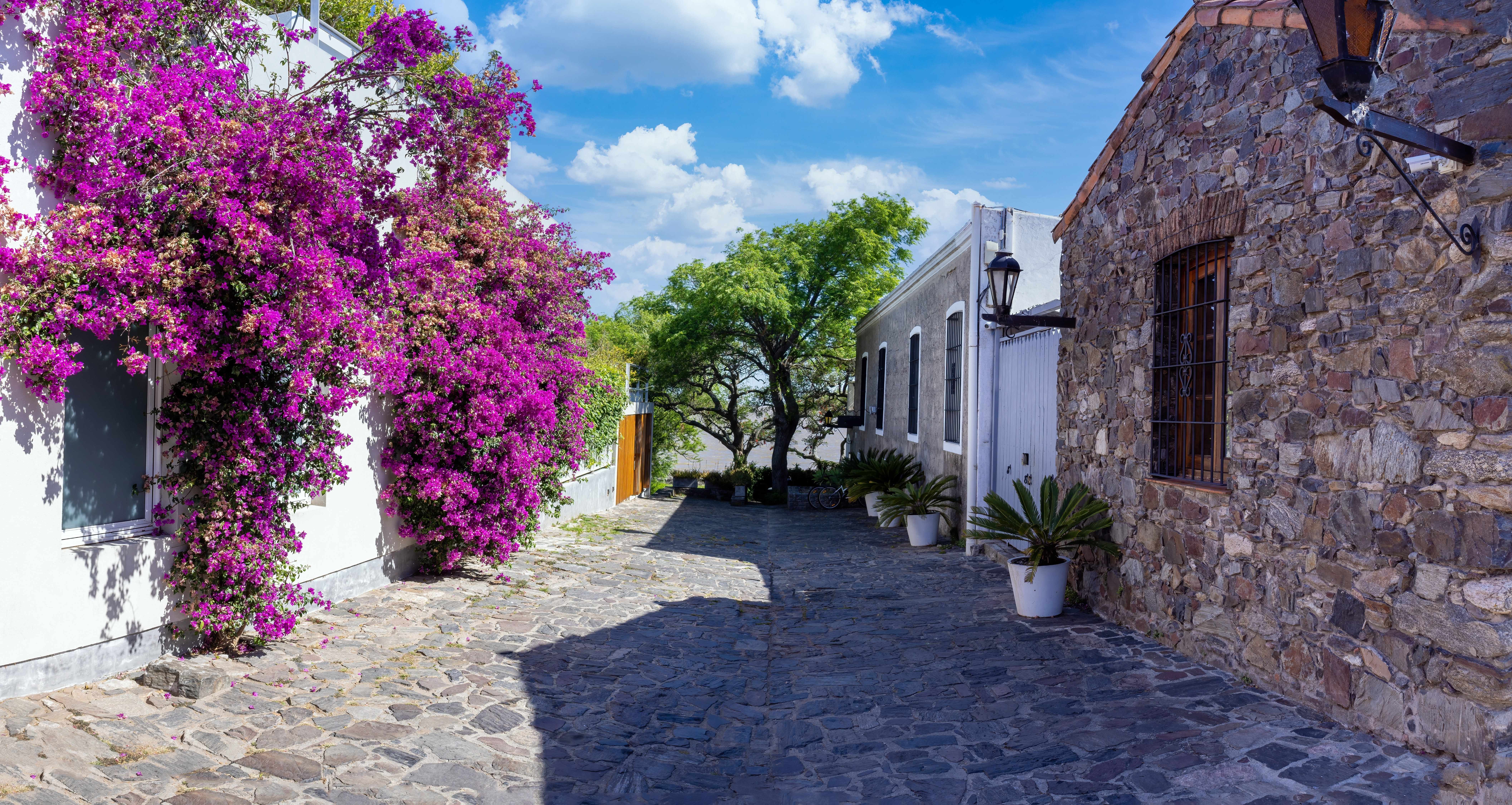 The Uruguay Riviera