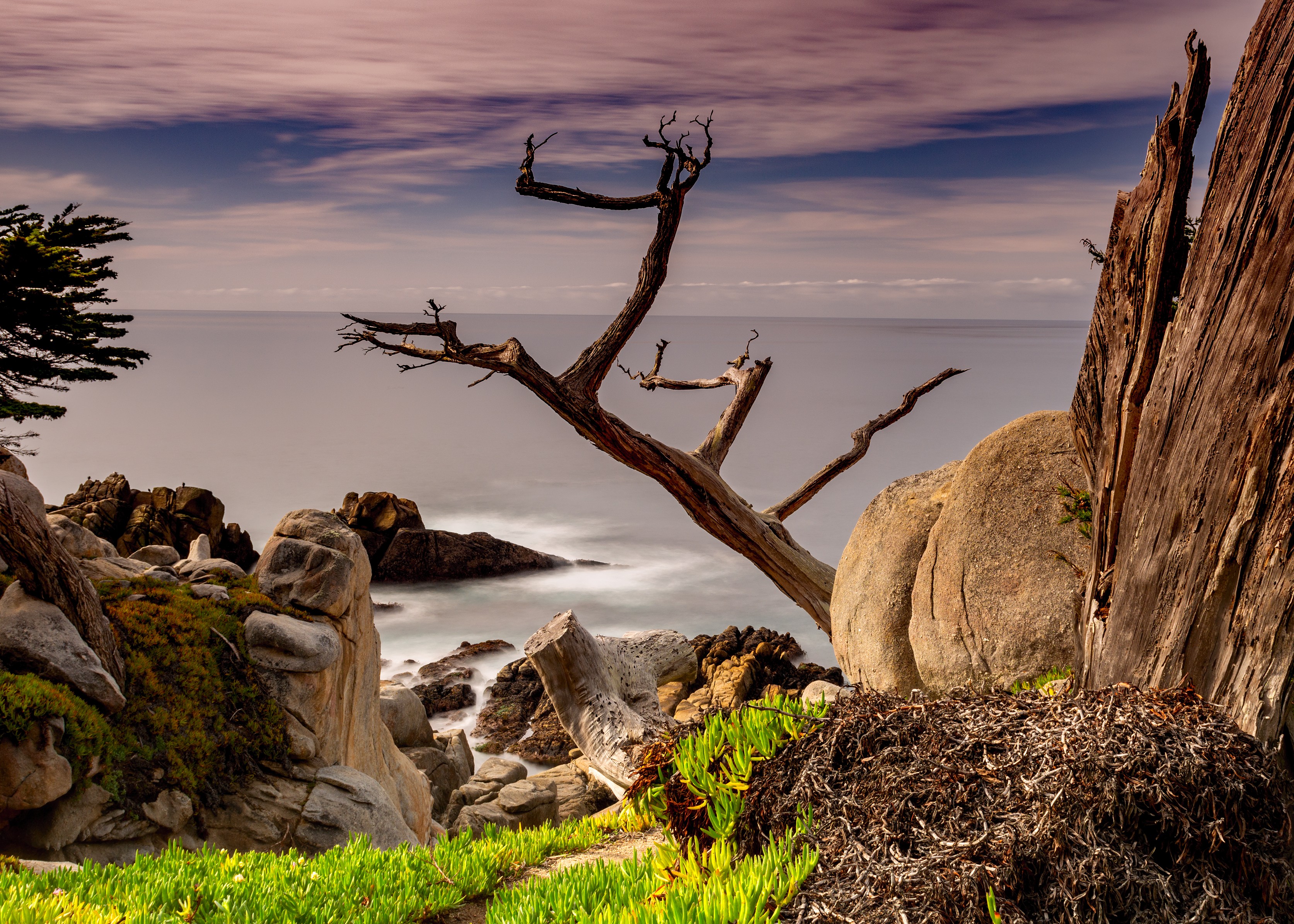 17-Mile Drive