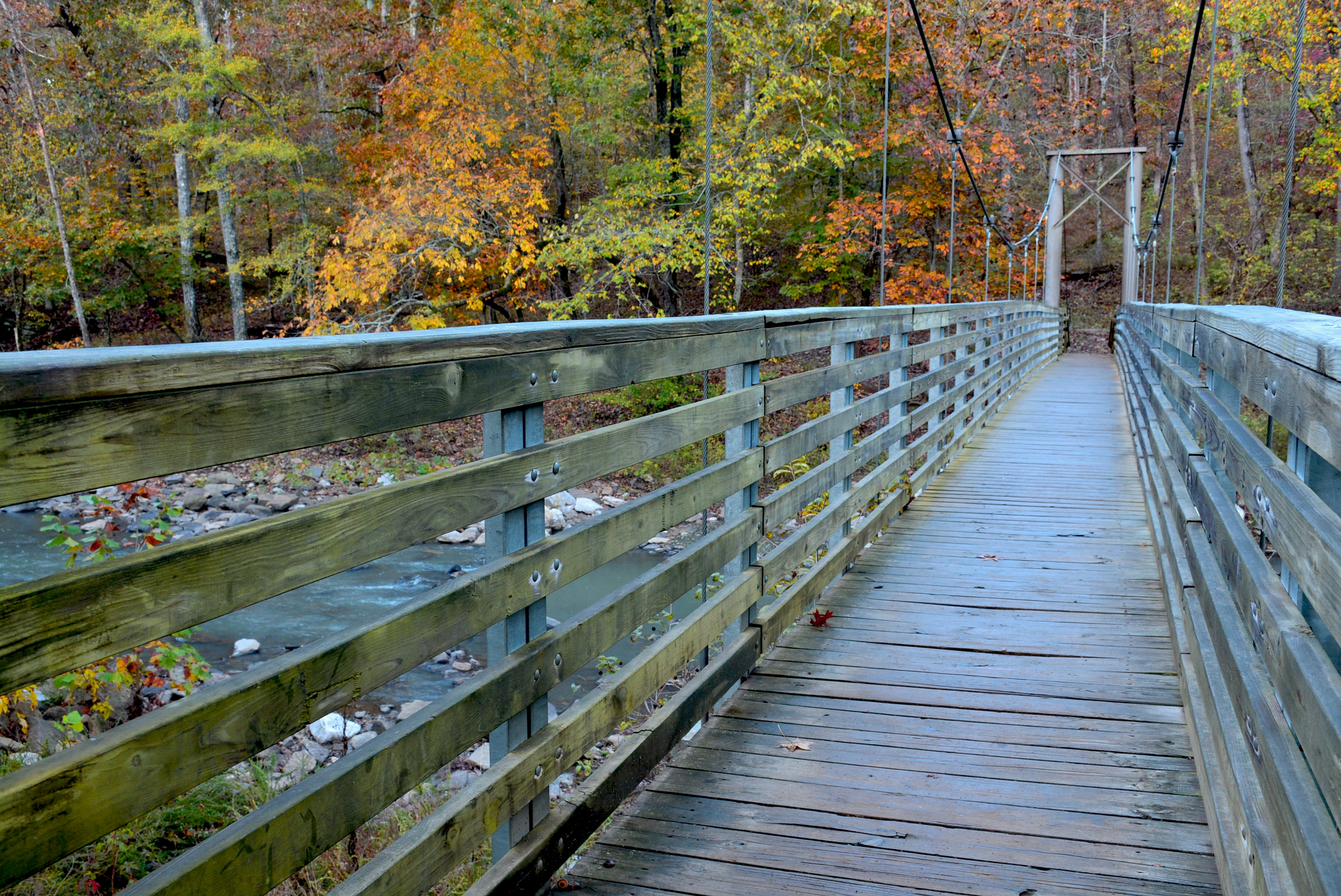 Pig Trail Scenic Byway