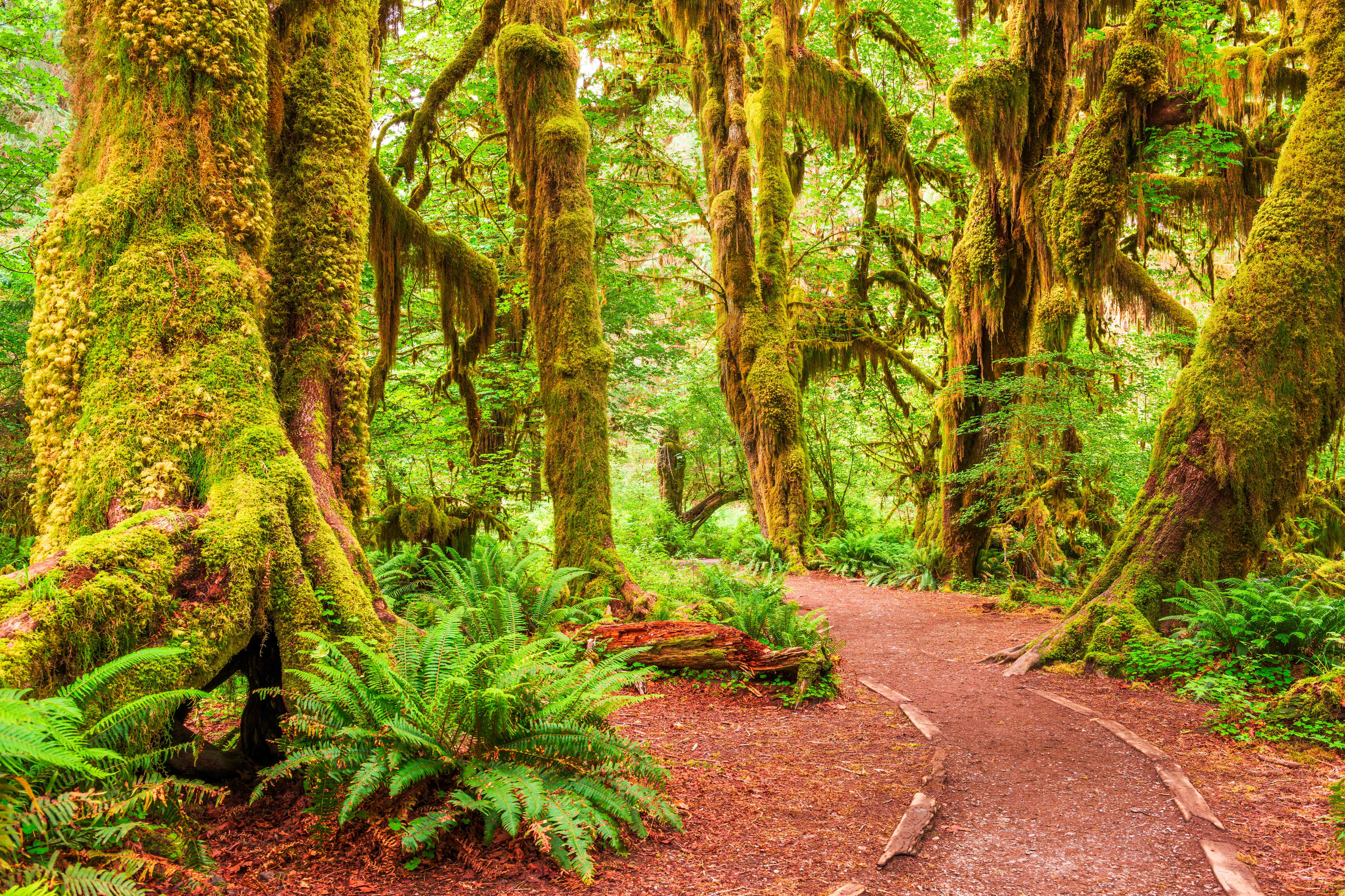 Olympic Peninsula Loop
